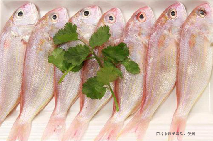 Pakistan Nemipterus virgatus Import Declaration Data