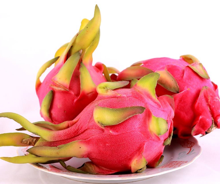 Vietnam Fresh Dragon Fruit Import Customs Declaration Process